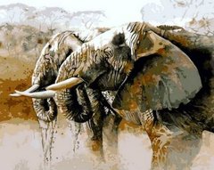 Купити Набір для малювання по цифрам Слони на водопої  в Україні