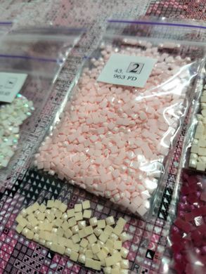 Купить Пионы Алмазная вышивка Квадратные стразы 40х50 см с голограммными оттенками  в Украине