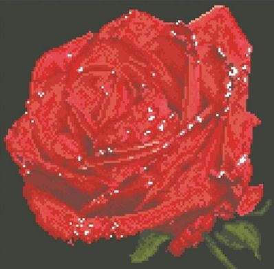 Купити 30525 Червона троянда. Алмазна мозаїка (квадратні, повна)  в Україні