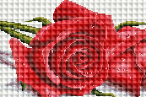 Купити Алмазна мозаїка Троянди 20х30см  в Україні