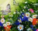 Набір для малювання по цифрам Квіткове поле і метелики, Подарункова коробка, 40 х 50 см