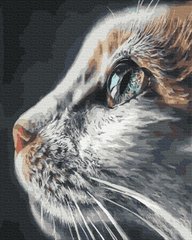 Купити Погляд кішки. Набір для розфарбовування по цифрам  в Україні