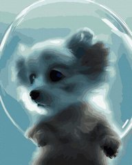 Купить Картина по номерам без коробки Собака в мыльном пузыре  в Украине
