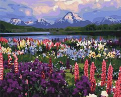 Купить Долина полевых цветов Набор для рисования картин по номерам  в Украине
