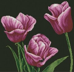 Купить Алмазная вышивка камнями Лиловые тюльпаны  в Украине