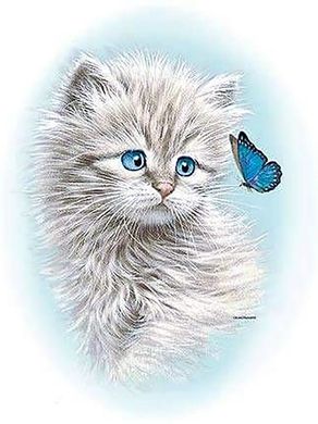 Купити Кошеня з метеликом Картина алмазами за номерами  в Україні