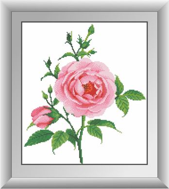 Купити 30476 Ніжна троянда Набір алмазної мозаїки  в Україні