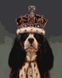 Король Чарльз ©Lucia Heffernan ТМ Брашми Алмазная картина на подрамнике 40 х 50 см, Да, 40 x 50 см