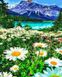 Цифровая живопись, картина без коробки Живописное горное озеро, Без коробки, 40 х 50 см