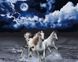 Белые лошади Алмазная картина раскраска 40 х 50 см, Без коробки, 40 х 50 см