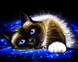 Кішка під пледом Діамантова вишивка На Підрамнику, квадратні камінчики 40х50см, Так, 40 x 50 см