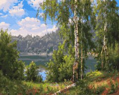 Купити Лісове озеро. Набір для розфарбовування по цифрам  в Україні