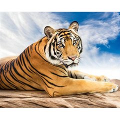 Купити Сибірський тигр Діамантова мозаїка На підрамнику 40х50 см  в Україні