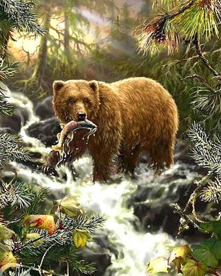 Купити Ведмідь на полюванні Діамантова картина за номерами На підрамнику  в Україні