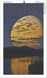 Триптих Місячне сяйво Діамантова мозаїка 105 х 80 см, Ні, 105 х 80 см