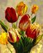 Набір для малювання по цифрам Весняні тюльпани, Подарункова коробка, 40 х 50 см