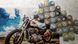 Картина розфарбування Український єнот, Без коробки, 40 x 50 см