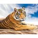 Сибирский тигр Набор для алмазной картины На подрамнике 40х50, Да, 40 x 50 см