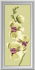 Купить Алмазная мозаика Нежность орхидеи-2 полная выкладка 20х46 см  в Украине