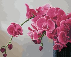Купити Орхідея Алмазна картина розфарбування 40 х 50 см  в Україні