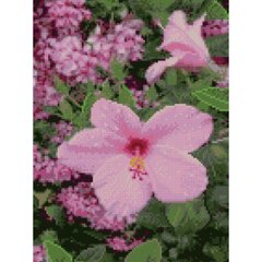 Купити Рожева квітка Маленька алмазна мозаїка  в Україні