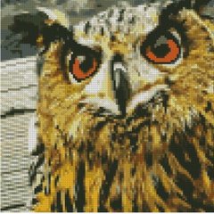 Купить Алмазная картина мозаикой 30х30 см Добрая сова  в Украине