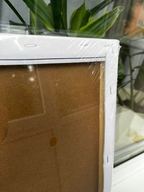 Купити Алмазна мозаїка Чарівна весна 40х50см  в Україні