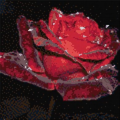 Купить Красная роза в росе. Набор для алмазной вышивки квадратными камушками.  в Украине