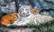 Алмазная вышивка Тигры на отдыхе -2, Нет