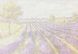 Полярный свет.Рене Магритт Картина антистресс по номерам на подрамнике, Без коробки, 40 х 50 см