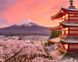 Сакура у горы Фудзияма Алмазная мозаика на подрамнике квадратные камни, Да