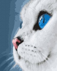 Купить Картина раскраска по номерам Голубоглазый кот 40 х 50 см (без коробки)  в Украине