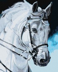 Купити Набір для малювання по цифрам Ідейка Гордий кінь 40 х 50 см  в Україні