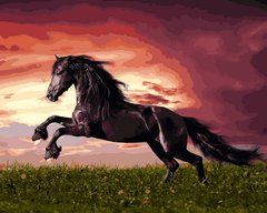 Купити Набір для малювання по цифрам Стрибок коня  в Україні