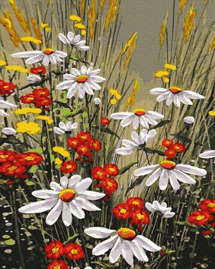 Купить Картина раскраска по номерам Полевые цветы 40 х 50 см (без коробки)  в Украине
