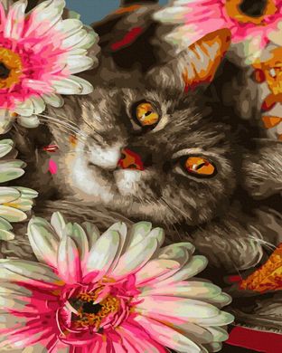 Купити Кіт у квітах Цифрова картина за номерами (без коробки)  в Україні