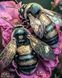Бджілки Алмазна вишивка Квадратні стрази 40х50 см з голограмними відтінками На підрамнику