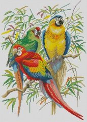 Купить Алмазная вышивка ТМ Dream Art Три попугая  в Украине