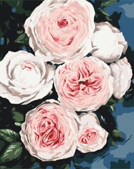 Купити Бутони пишних троянд Розпис картин за номерами (без коробки)  в Україні