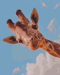 Купити Погляд жирафи Картина за номерами (без коробки)  в Україні