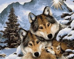 Купити Картина розфарбування по цифрам Сім'я вовків  в Україні