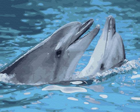 Купити Малювання картини за номерами Пара дельфінів  в Україні
