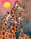 Семья жирафов. Цифровая картина раскраска, Подарочная коробка, 40 х 50 см