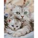 Кішка з кошеням 30х40 см (KB023) Набір для творчості алмазна картина, Так, 30 x 40 см