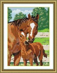Купить 30178 Гордость матери(лошади) Набор алмазной живописи  в Украине