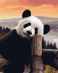 Купить Милая панда Антистрес раскраска по цифрам без коробки  в Украине