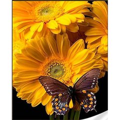 Купити Метелик на соняшнику Алмазна мозаїка на підрамнику, квадратні 30х40 см  в Україні