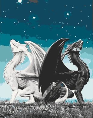 Купити Картина антистрес за номерами Пара драконів без коробки  в Україні