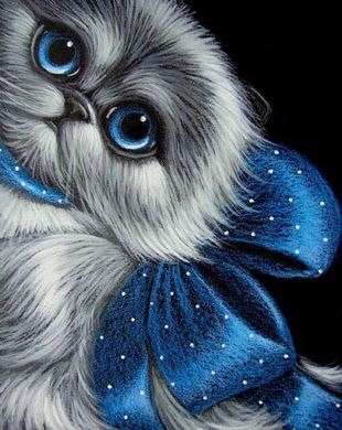 Купити Алмазна вишивка Кошеня з синім бантом  в Україні