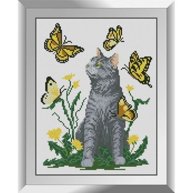 Купить Кот с бабочками Картина алмазами по номерам  в Украине